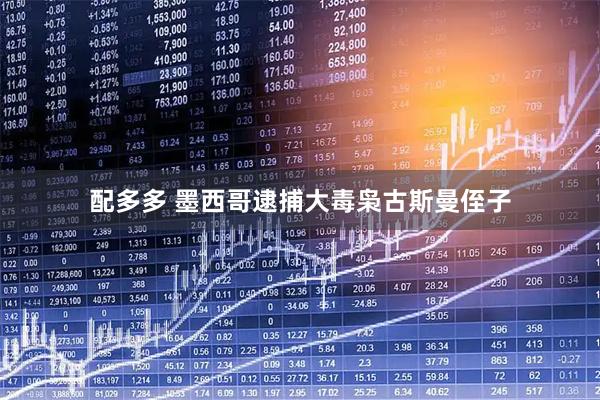 配多多 墨西哥逮捕大毒枭古斯曼侄子