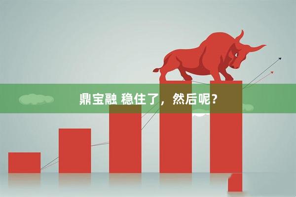 鼎宝融 稳住了，然后呢？