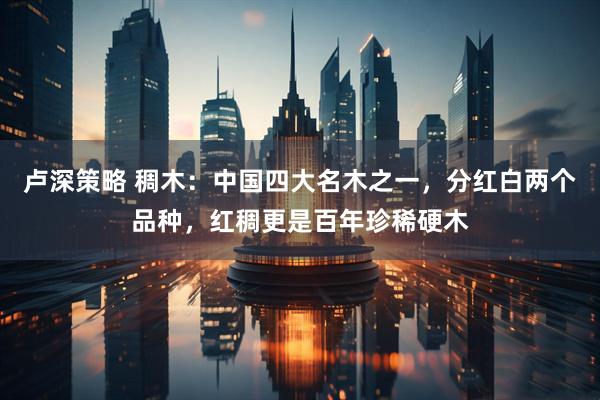 卢深策略 稠木：中国四大名木之一，分红白两个品种，红稠更是百年珍稀硬木
